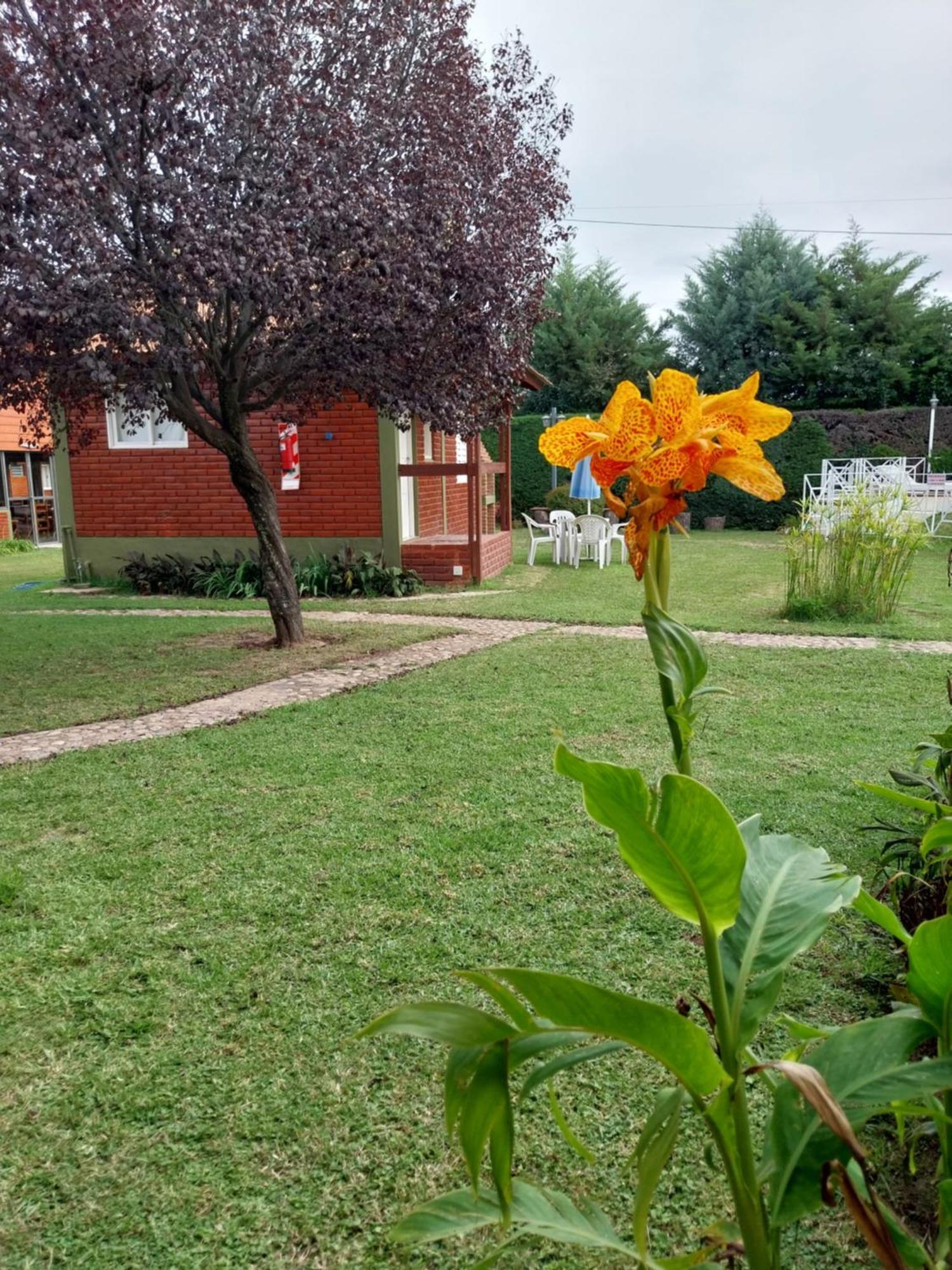 Complejo Cantonavi Nono Dış mekan fotoğraf